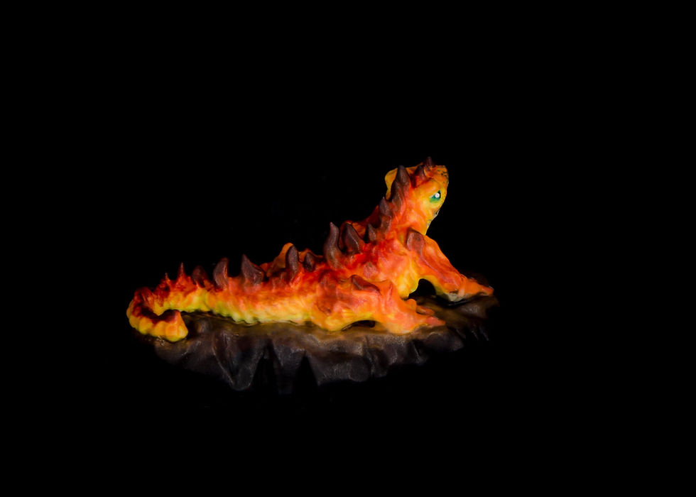 Thumbnail: Fire Salamander B