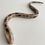Thumbnail: Ceramic Snake