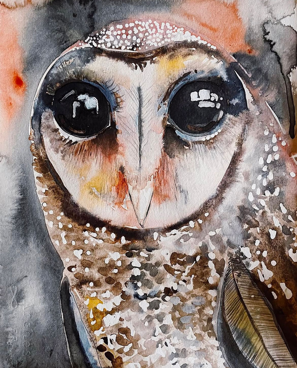 Watercolour Owls - 18 October 2025