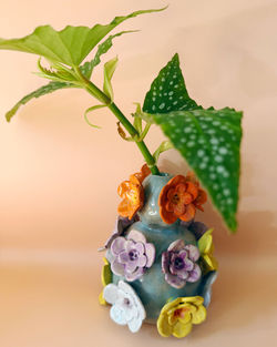 Bloom Vase