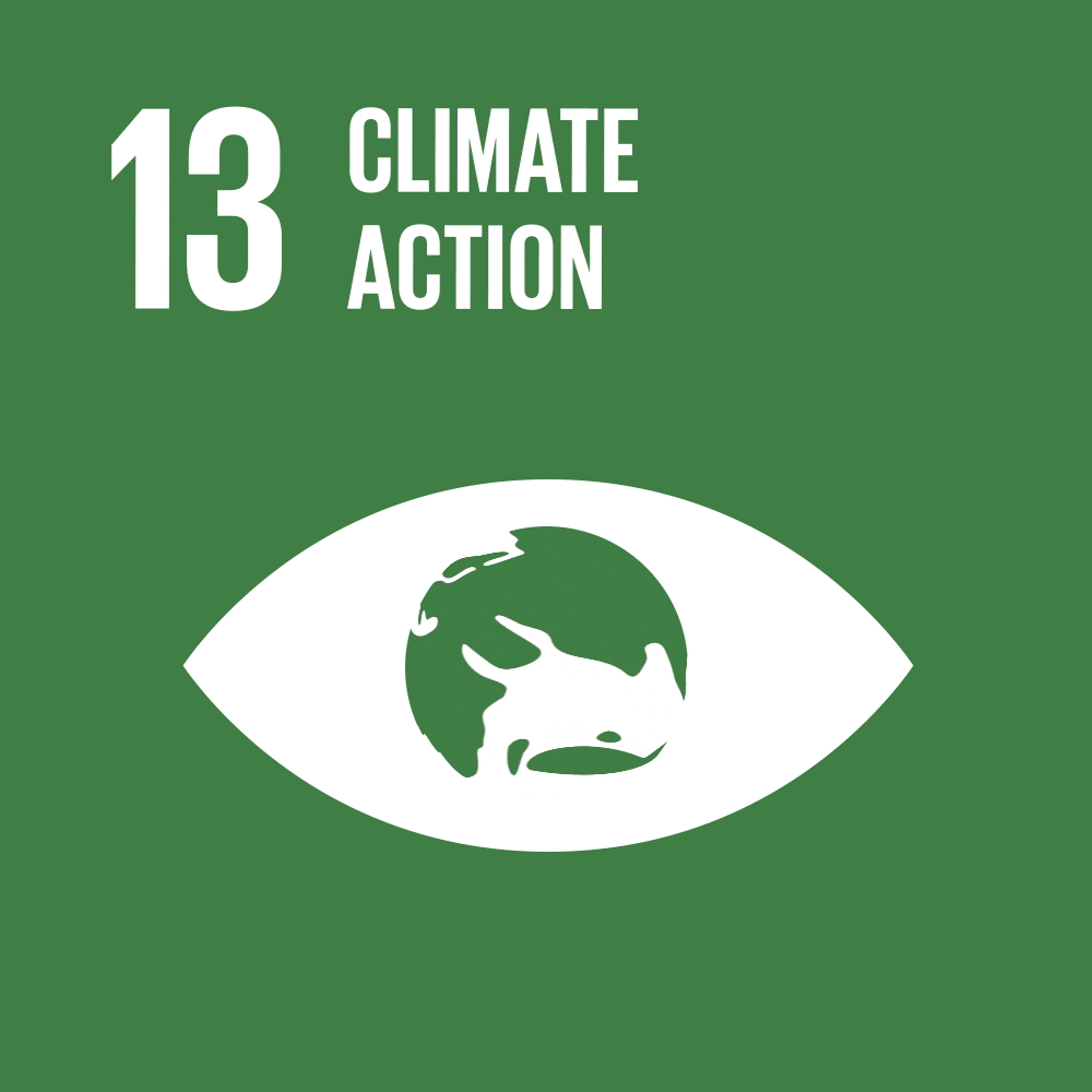 SDG 13 – Climate Action