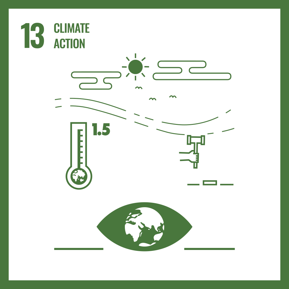 SDG 13 - Climate Action