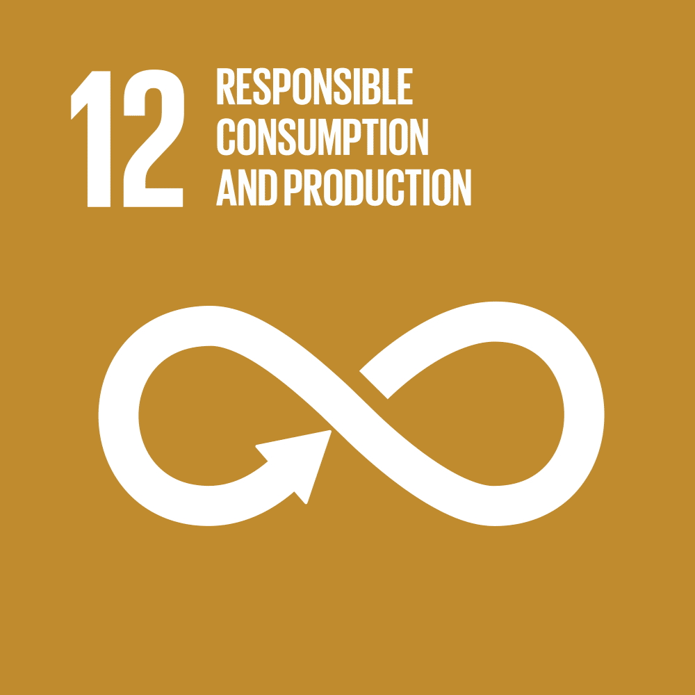 SDG 12 – Responsible Consumption and Production