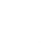 shell.png