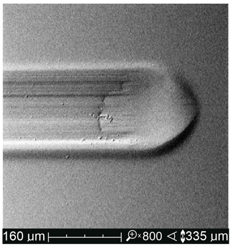 Figure 4: SEM image of topographic pile-up of the polymer material