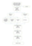 Additional File 1: Flow diagram