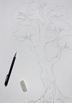 IMG_1440_edited.jpg