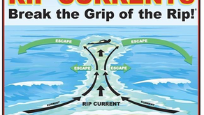 Navigating Ocean Safety: How to Identify Areas Free from Dangerous Currents and Excessive Depth