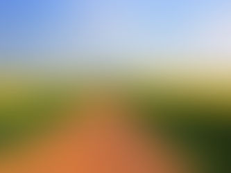 גיליון מאי 2021