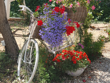 גיליון מאי 2023 - מגזין באופן טבעי