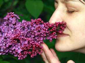 גיליון דצמבר 2021