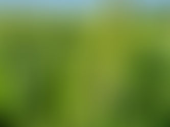 גיליון מרץ 2021