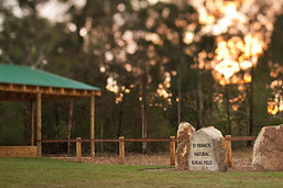 Green Funeral Shelly Bennett Funeral Director Sydney