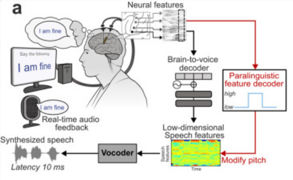 Figure 1. Closed-loop synthesis from neural activity