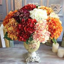 SETTEMBRE: ORTENSIE NEI NOSTRI BOUQUET