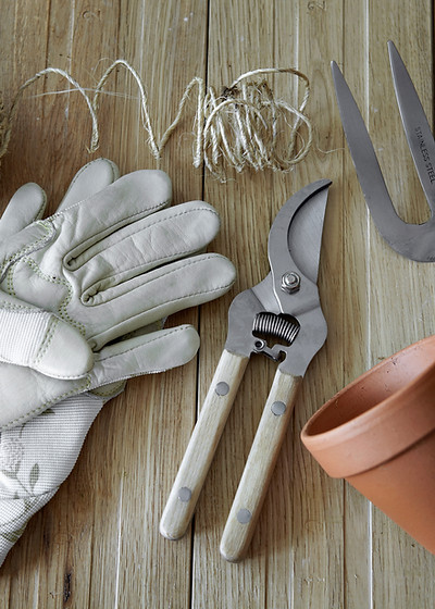 Preparação das ferramentas de jardinagem
