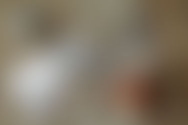 Tending the Gut Garden