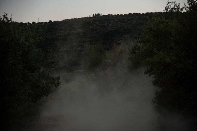DSC_4948.jpg