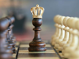 Unlocking the Mindset, Habits, and Emotional Dynamics Behind Thriving at Work