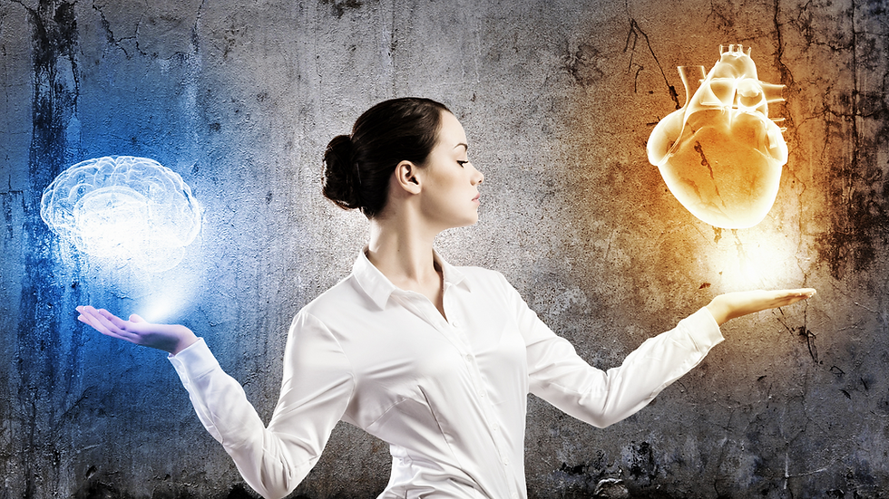 Signals of Safety: How Emotion Speaks Before Strategy