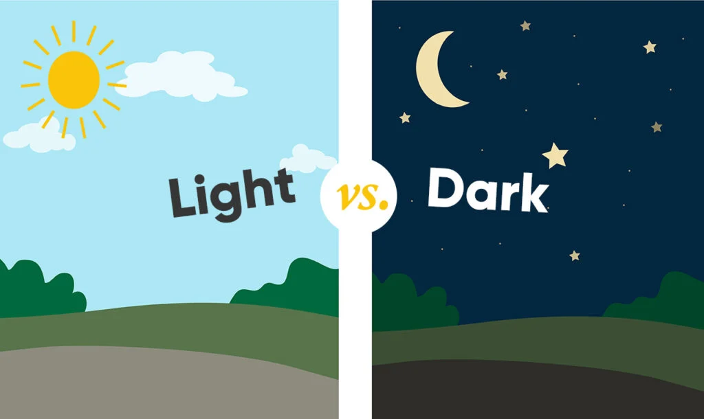 light and dark.webp