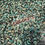 Thumbnail: Isibehi's Dehydrated periwinkle