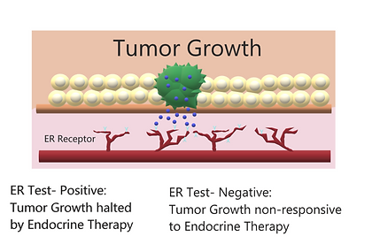hormonski ovisni tumori, endocrine therapy