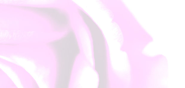 Background for Wix_edited.jpg