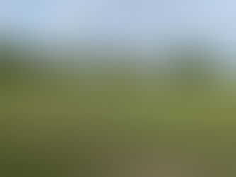 Cricket Force weekend 6th April