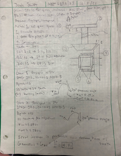 image3.jpeg
