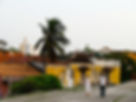 IMG_7039.jpeg