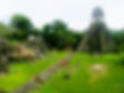 IMG_7562.jpeg