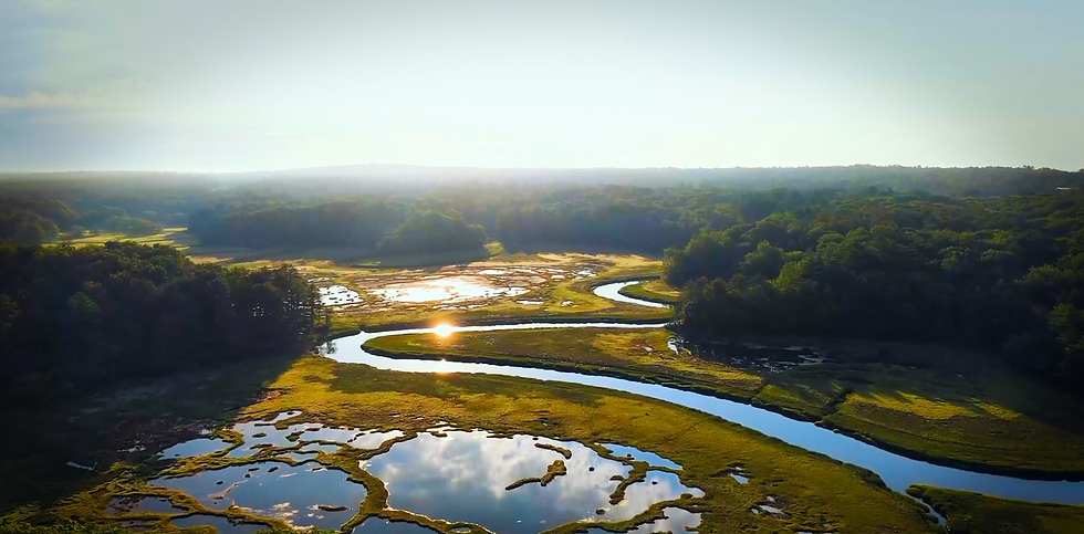 cousins river marsh_CREDIT maine coast heritage trust. (1).PNG