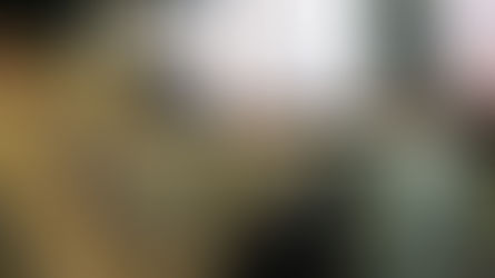 現場研修の様子