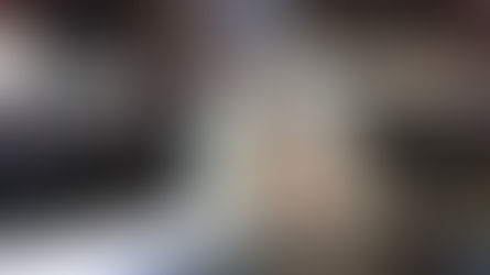 インターンシップを行いました