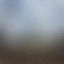 The land behind me has been earmarked for the development of a new high school. 