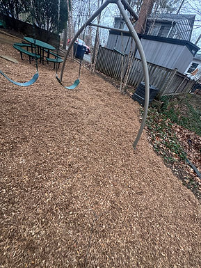 playground wood chips.jpeg