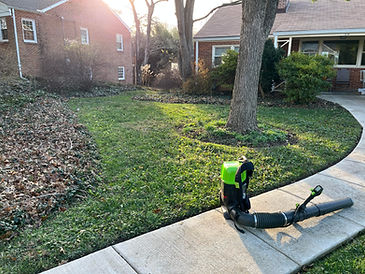 blower with leaves in beds.jpg