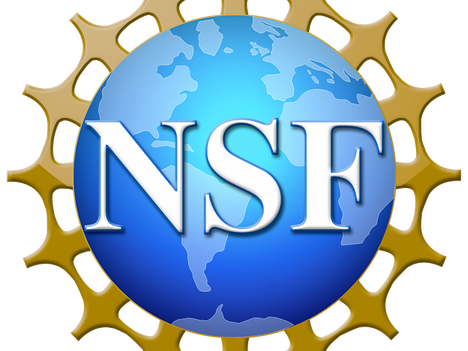 KurtLab and Co-PIs Awarded NSF LEAP-HI Award