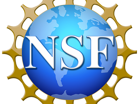 Kurtlab awarded $275,000 by NSF