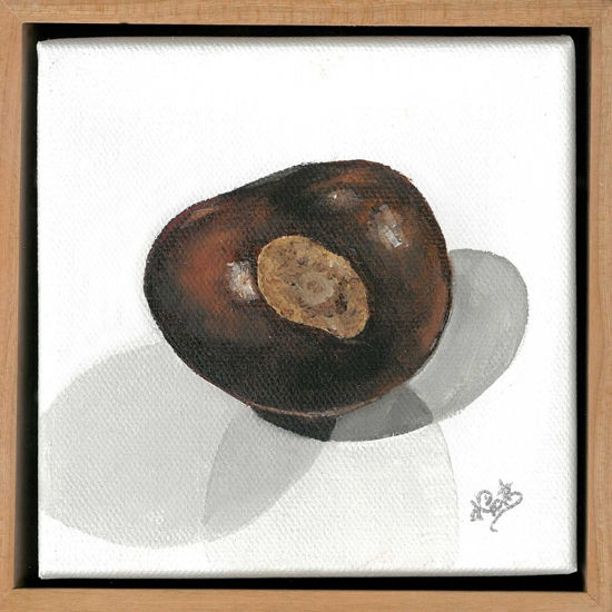 Buckeye #4