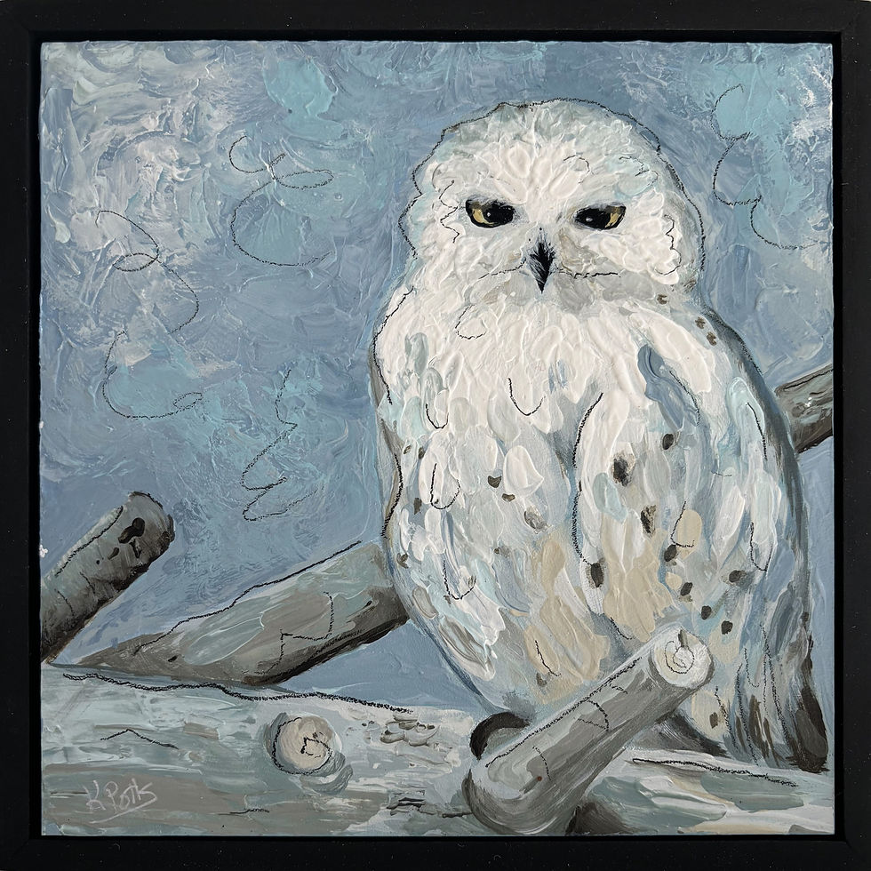 Snowy Owl