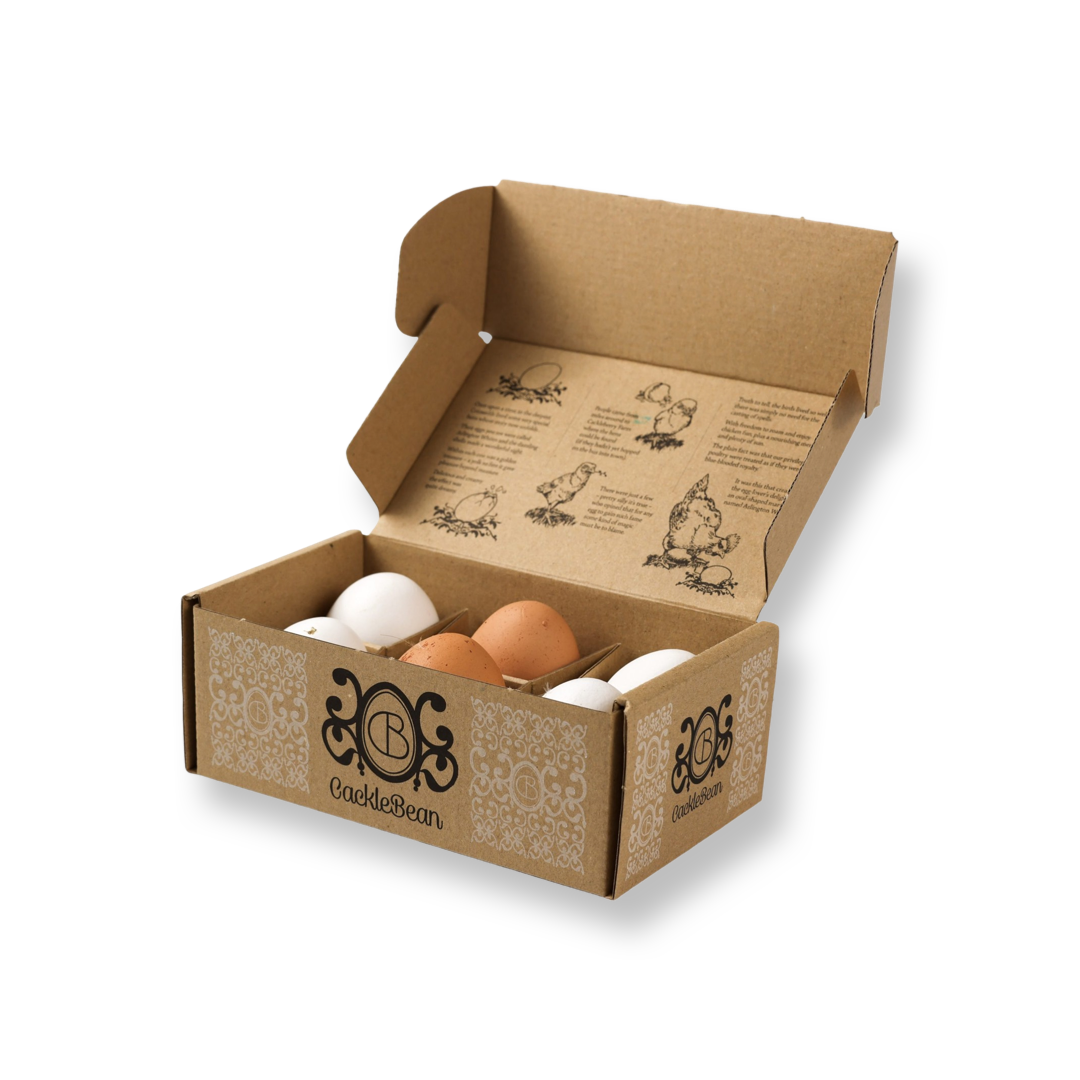 6 COTSWOLDS CACKLEBEAN EGGS