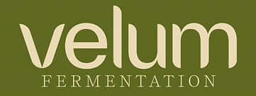 velum fermentation logo color.jpeg