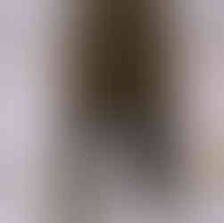 Editorial-style portrait of newlyweds at Osgoode Hall gardens