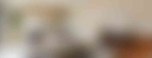 5LDK House in Toyono, Osaka living room