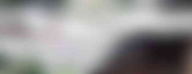 6DK House in Iwade City, Wakayama garden