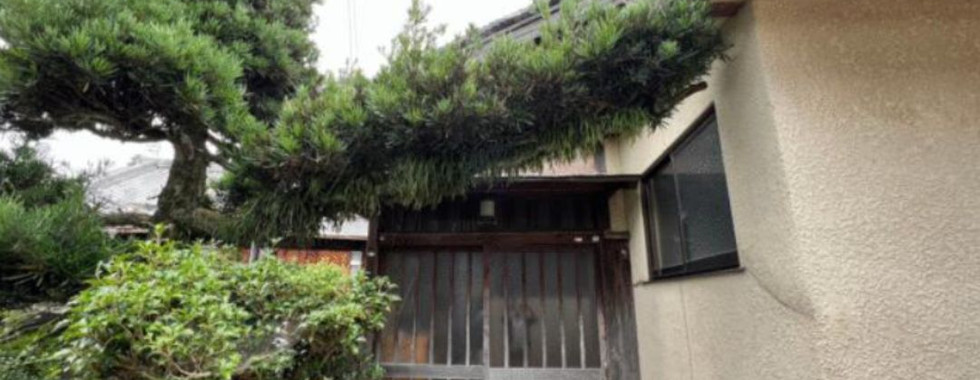 The photograph shows the side entrance of a Japanese house with a traditional wooden gate. A large, sculpted tree with a long, horizontal branch dominates the left side of the image, creating a sense of enclosure and privacy. The house itself is partially visible on the right, with white walls and a tiled roof. A paved walkway leads towards the gate.