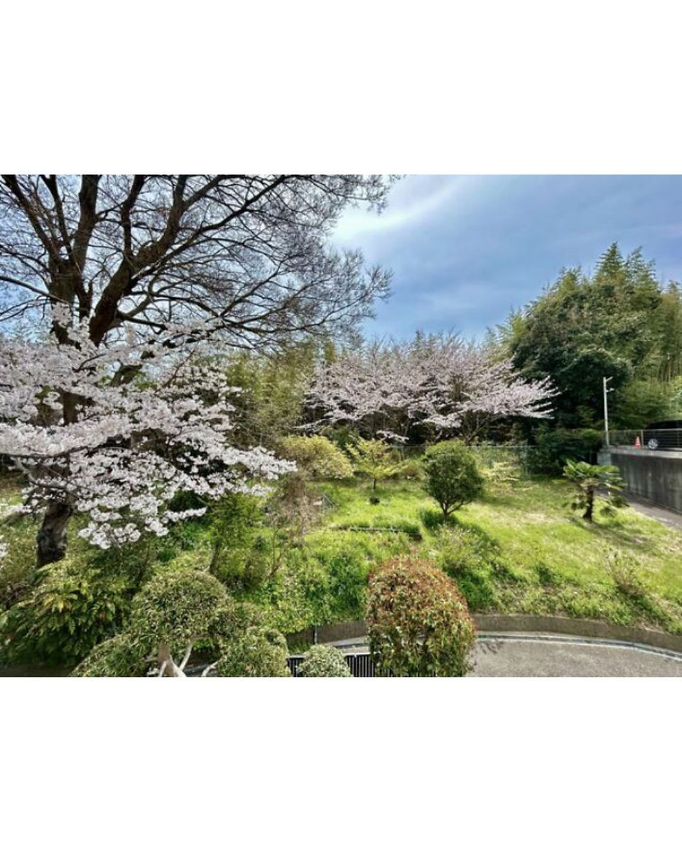 6DK House in Kobe City, Hyogo garden