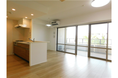 Modern, open-plan Japanese apartment with white kitchen and living area.
